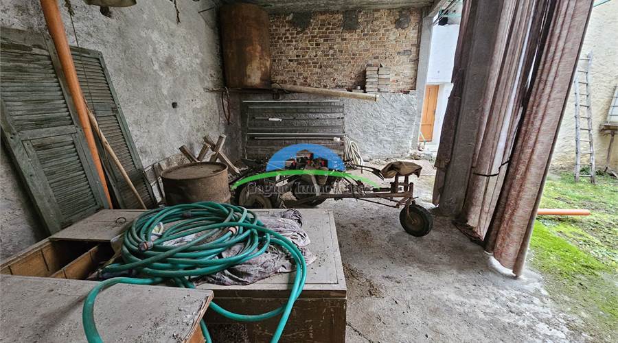 Photo 19