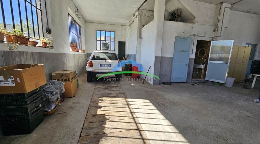 Photo 25